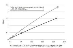 SARS-CoV-2 (COVID-19) Nucleocapsid protein, His tag. GTX135592-pro