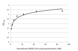 MERS-CoV Nucleocapsid protein, DDDDK tag. GTX135653-pro