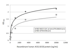 SARS-CoV-2 (COVID-19) Spike RBD Protein, B.1.1.7 / Alpha variant, mouse Fc tag (active). GTX136024-pro