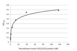 SARS-CoV-2 (COVID-19) Spike RBD Protein, B.1.1.7 with E484K, His tag (active). GTX136058-pro