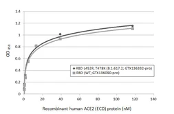 SARS-CoV-2 (COVID-19) Spike RBD Protein, B.1.617.2 / Delta variant, His tag (active). GTX136332-pro
