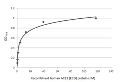 SARS-CoV-2 (COVID-19) Spike RBD Protein, AY.1 / Delta plus variant, His tag (active). GTX136333-pro
