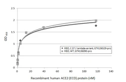 SARS-CoV-2 (COVID-19) Spike RBD Protein, C.37 / Lambda variant, His tag (active). GTX136529-pro