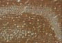Anti-Actin antibody [2Q1055] used in Immunohistochemistry (IHC). GTX14128