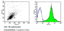 Anti-CD11a antibody [121/7] used in Flow cytometry (FCM). GTX15818