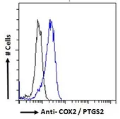 Anti-COX2 antibody, C-term used in Flow cytometry (FCM). GTX15839