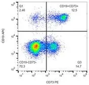 Anti-CD73 antibody [AD2] (PE) used in Flow cytometry (FCM). GTX17626-08