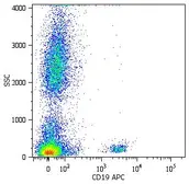 Anti-CD19 antibody [LT19] (APC) used in Flow cytometry (FCM). GTX18224