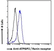 Anti-Renin Receptor antibody used in Flow cytometry (FCM). GTX25959