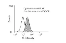 Anti-CX3CR1 antibody used in Flow cytometry (FCM). GTX27200