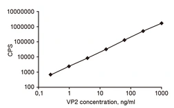 Anti-Canine parvovirus VP2 antibody [8H7] used in Sandwich ELISA (Sandwich ELISA). GTX28265