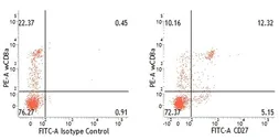 Anti-CD27 antibody [B30C7] used in Flow cytometry (FCM). GTX31219