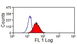 Anti-LAMP1 antibody [4E9/11] used in Flow cytometry (FCM). GTX31229