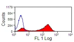Anti-CD13 antibody [CVS19] used in Flow cytometry (FCM). GTX31238