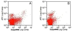 Anti-TLR3 antibody [11F8] used in Flow cytometry (FCM). GTX31247