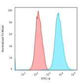 Anti-Cytokeratin 18 antibody [DE-K18] used in Flow cytometry (FCM). GTX34641