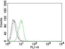 Anti-p27 Kip1 antibody [DCS-72.F6] used in Flow cytometry (FCM). GTX34931