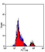 Anti-Fc epsilon R1 alpha antibody [9E1] used in Flow cytometry (FCM). GTX41159