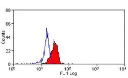 Anti-Dectin-1 antibody [GE2] used in Flow cytometry (FCM). GTX41458