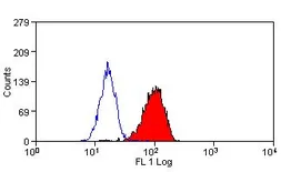Anti-NOX2 / gp91phox antibody [NL7] used in Flow cytometry (FCM). GTX41565