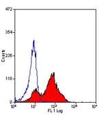 Anti-CD26 antibody [H207-1082] used in Flow cytometry (FCM). GTX42187