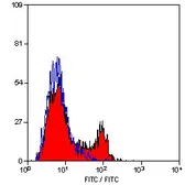 Anti-CD21 antibody [CA2.1D6] used in Flow cytometry (FCM). GTX42255