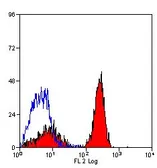 Anti-Dectin-1 antibody [2A11] (PE) used in Flow cytometry (FCM). GTX42986