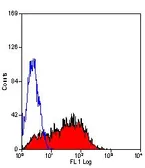 Anti-CD62P antibody [Psel.KO.2.12] (PE) used in Flow cytometry (FCM). GTX43042
