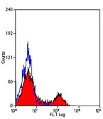 Anti-CD4 antibody [CT7] (PE) used in Flow cytometry (FCM). GTX43090