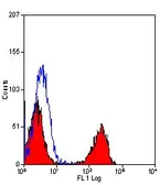 Anti-T Lymphocytes antibody [KEN-5] (FITC) used in Flow cytometry (FCM). GTX43339