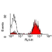 Anti-MHC Class II (monomorphic) antibody [YKIX334.2] (FITC) used in Flow cytometry (FCM). GTX43387
