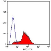 Anti-CD81 antibody [Eat2] (FITC) used in Flow cytometry (FCM). GTX43491