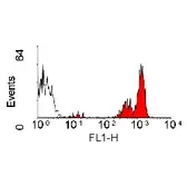 Anti-CD45 antibody [YKIX716.13] (FITC) used in Flow cytometry (FCM). GTX43583