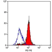 Anti-Dectin-1 antibody [2A11] (Biotin) used in Flow cytometry (FCM). GTX43895
