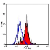 Anti-MSR1 antibody [2F8] (Biotin) used in Flow cytometry (FCM). GTX43968