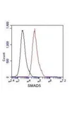 Anti-SMAD5 antibody [4B10-B10-B6] used in Flow cytometry (FCM). GTX49219