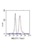 Anti-TORC1 antibody [3D7-E5-D9] used in Flow cytometry (FCM). GTX49232