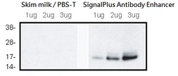 SignalPlus Antibody Enhancer. GTX49999