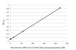 SARS-CoV-2 (COVID-19) nucleocapsid ELISA Pair [HL5511 / HL448]. GTX500045