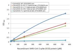 SARS-CoV-2 (COVID-19) Spike RBD ELISA Pair [HL1014 / HL1003]. GTX500046
