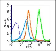 Anti-NKG2D antibody used in Flow cytometry (FCM). GTX50988