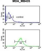 Anti-GNRH2 antibody used in Flow cytometry (FCM). GTX53607