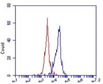Anti-OLR1 / LOX-1 antibody [23C11] used in Flow cytometry (FCM). GTX54456