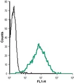 Anti-Nectin 2 antibody used in Flow cytometry (FCM). GTX54844
