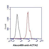 Anti-alpha Smooth Muscle Actin antibody [AT132D3] used in Flow cytometry (FCM). GTX57619