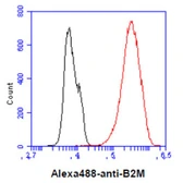 Anti-beta 2 Microglobulin antibody [AT101F10] used in Flow cytometry (FCM). GTX57686