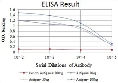 Anti-BPTF antibody [2F10] used in ELISA (ELISA). GTX60433