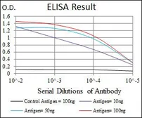 Anti-DLK1 antibody [3A10] used in ELISA (ELISA). GTX60511