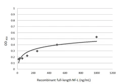 Anti-NF-L antibody [2G10] used in ELISA (ELISA). GTX60544