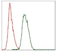 Anti-COTL1 antibody [5C8E3] used in Flow cytometry (FCM). GTX60553